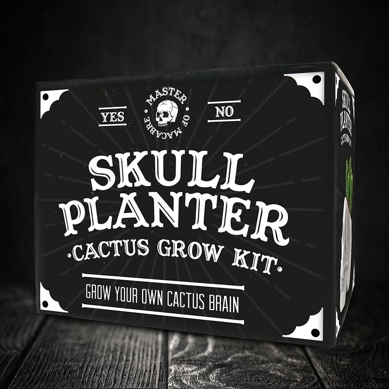 Skull Planter Cactus Grow Kit