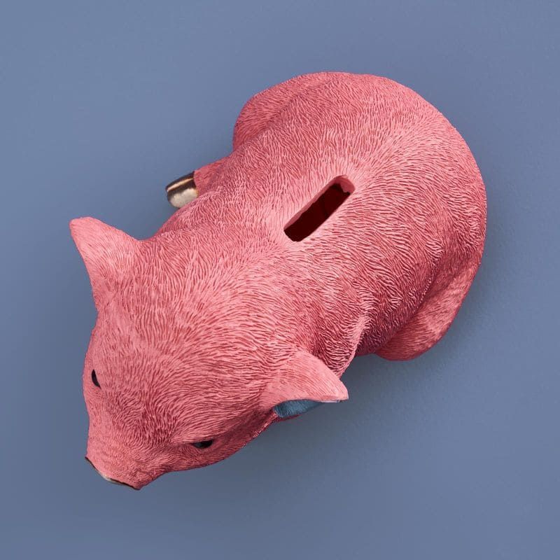 Piggy Sparebøsse – Rosa